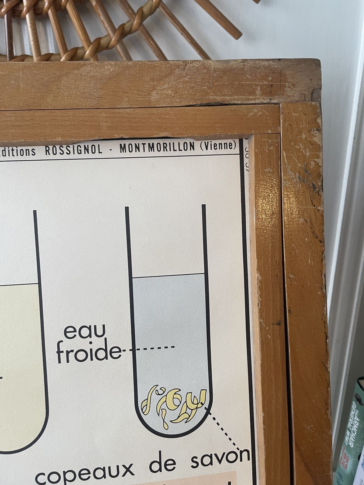 Vintage French 11  Educational Science Posters With 1 Frame By Rossignol Of Montmorillon Vienne photo Art
