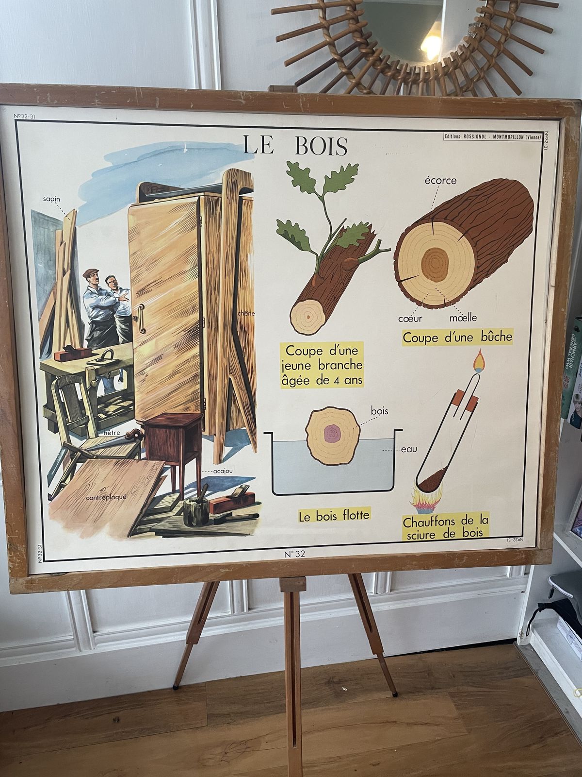 245.0 Vintage French 11  Educational Science Posters With 1 Frame By Rossignol Of Montmorillon Vienne photo