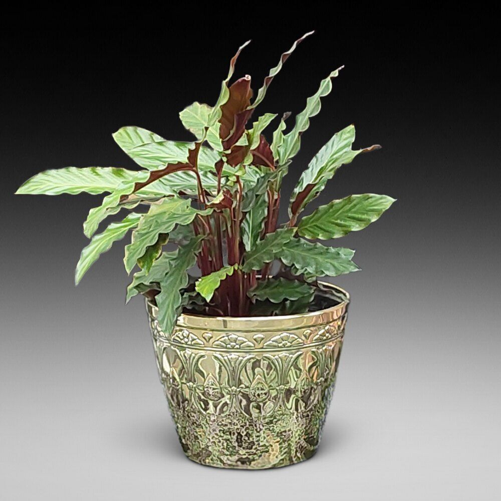 Art Nouveau Brass Planter By J Sankey And Sons