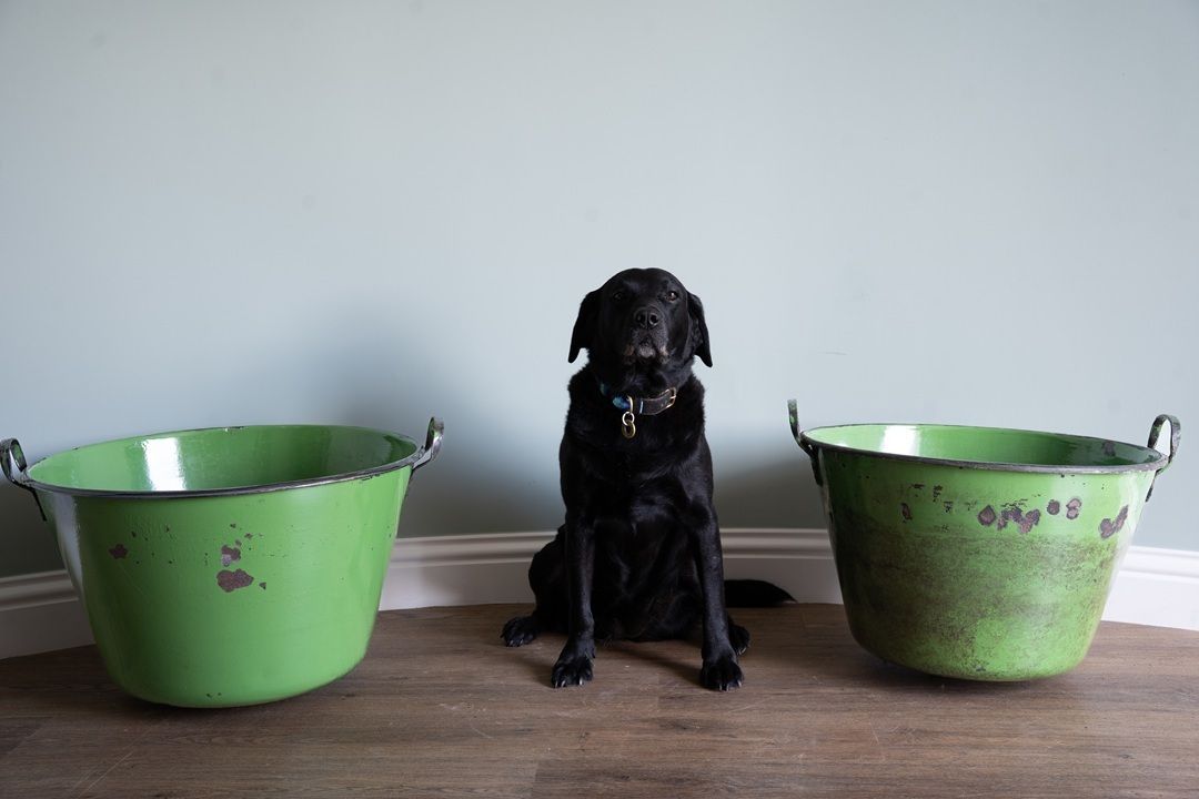 A Near Pair Of Large Green Galvanised Garden Planters