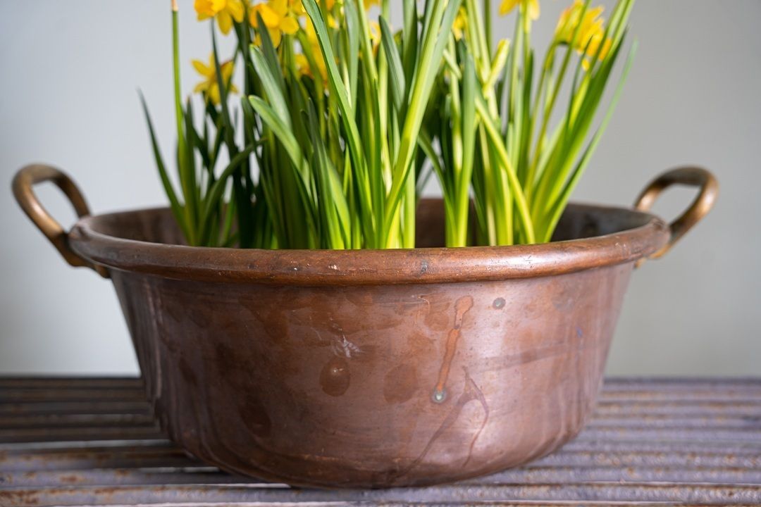 Antique Copper Pot Planter photo Home Decor