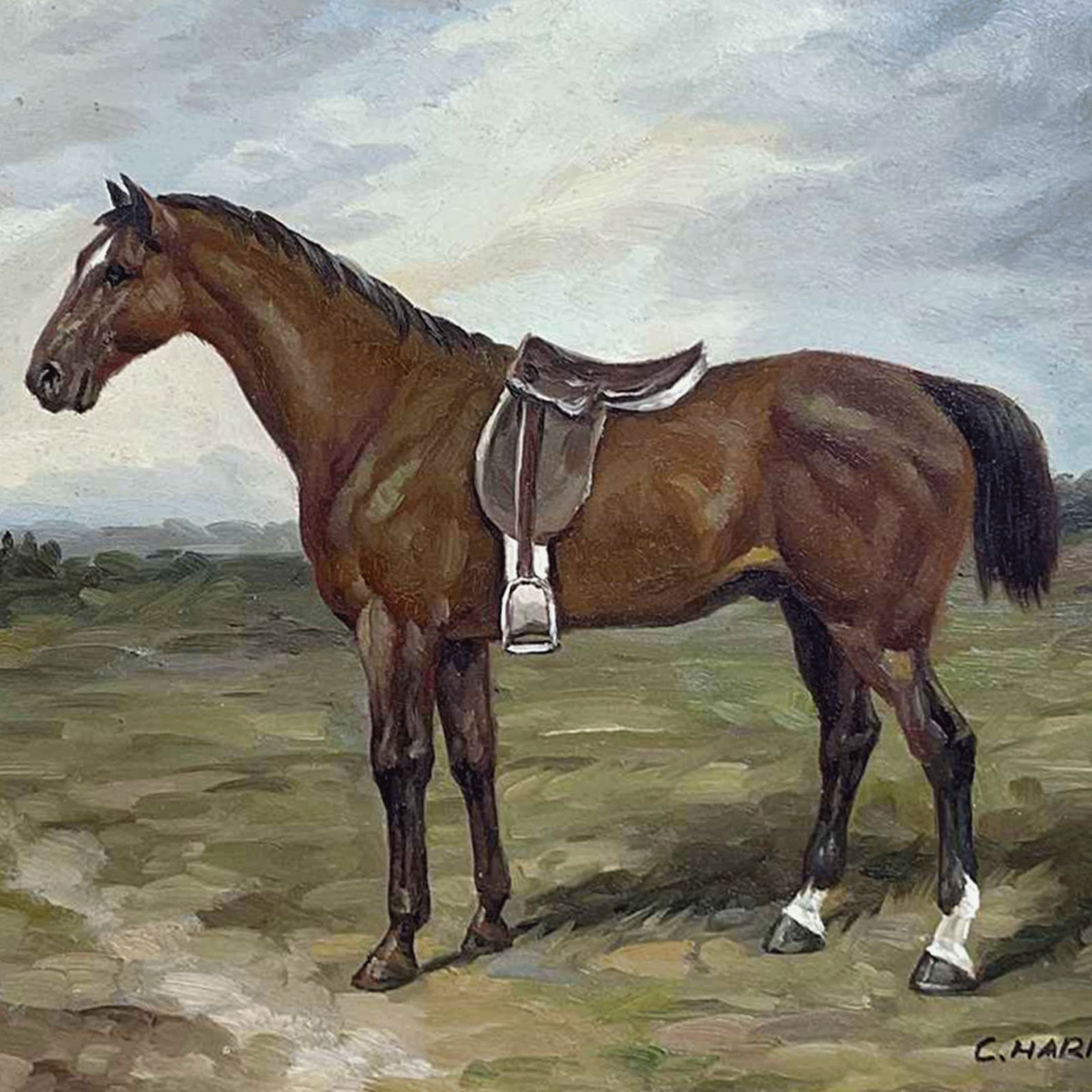 Horse Impasto Oil Painting On Board By C.Harrison (Mid 20thc) Superb 43cm W photo for sale
