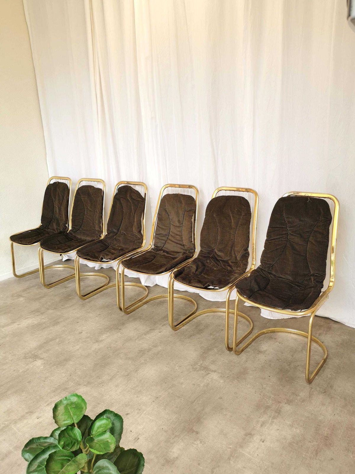 Vintage Gold Chrome Dining Chair: Italiay (Set Of 6)