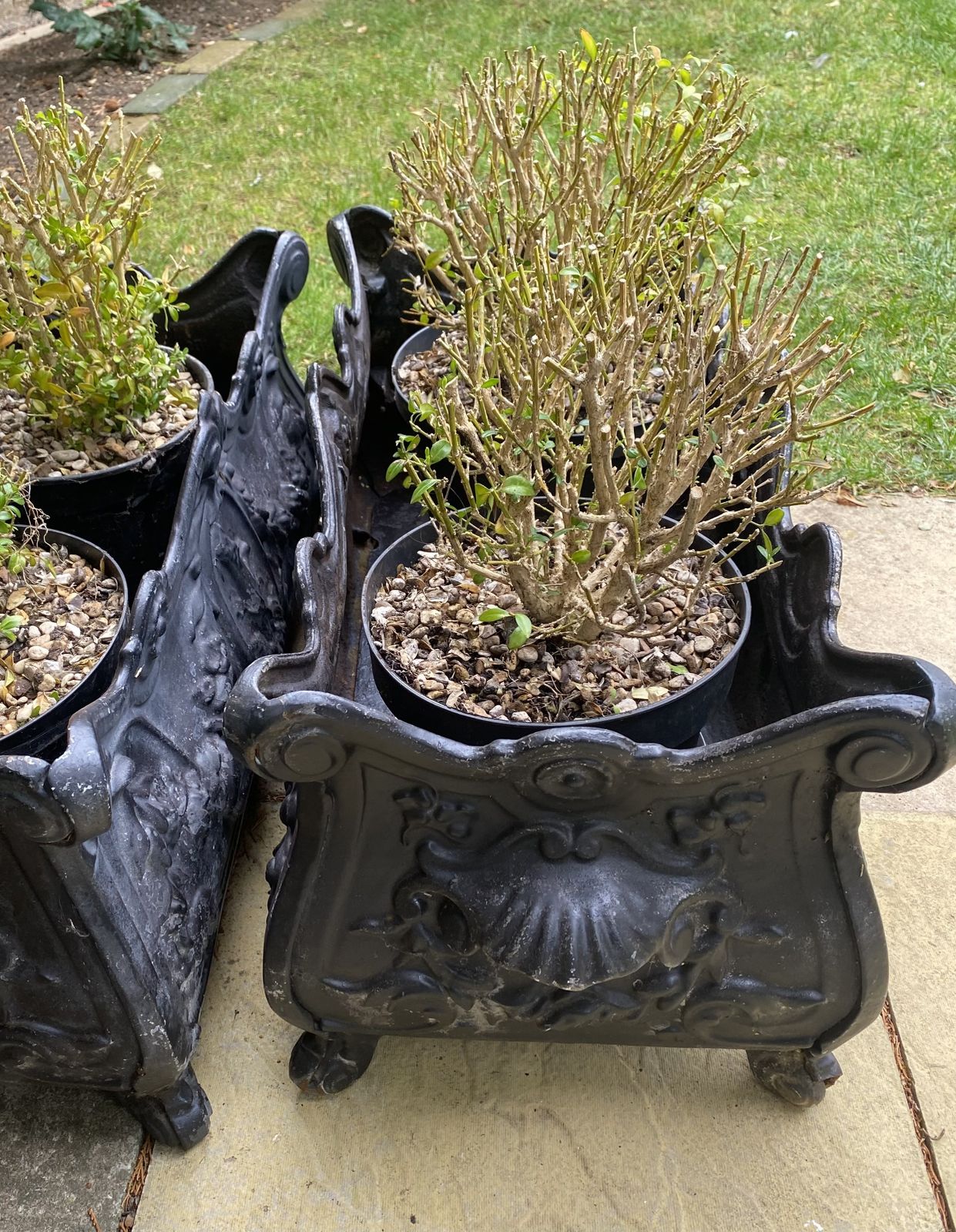 A Very Rare Pair Of Cast Iron French Jardinières photo vinterior