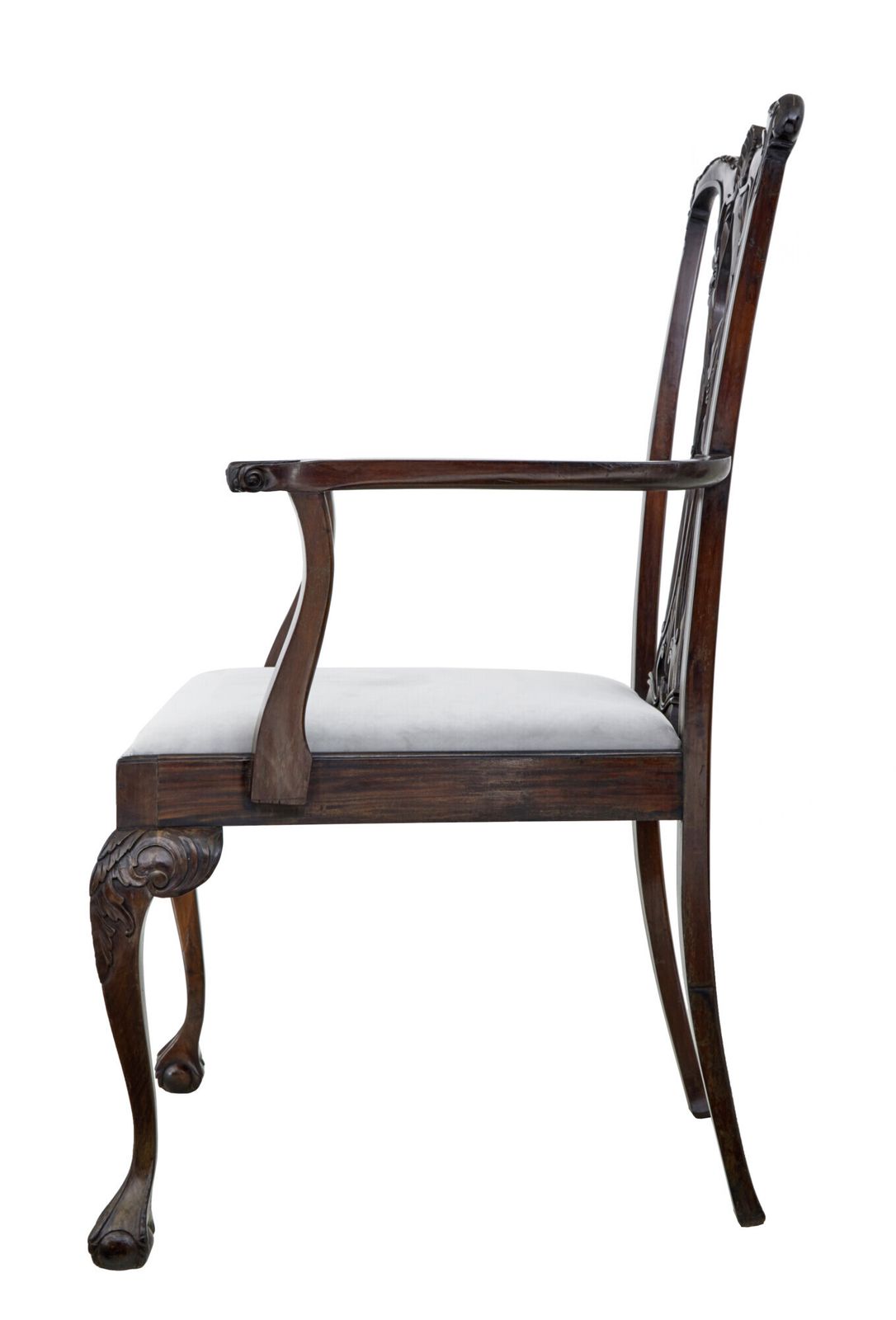 Furniture Chippendale Design Dining Chair Of Large Proportions For Display photo