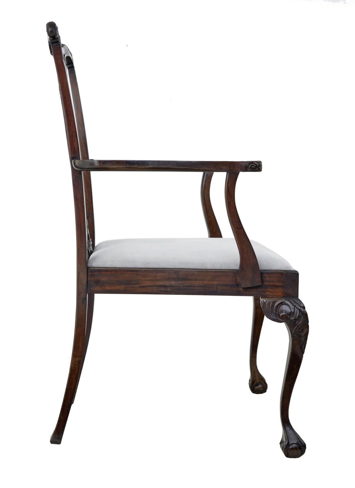 photo vinterior Chippendale Design Dining Chair Of Large Proportions For Display