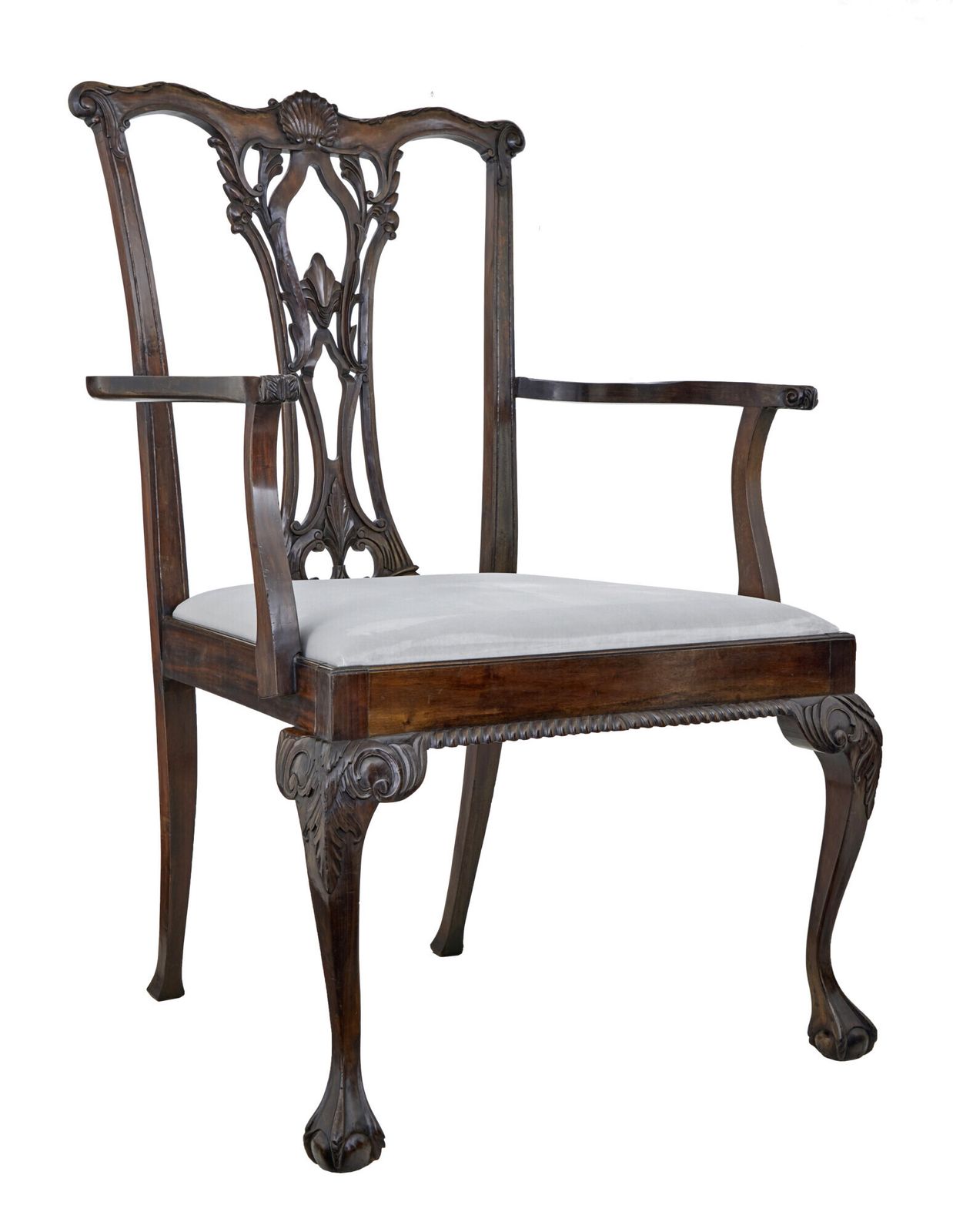 photo buy Chippendale Design Dining Chair Of Large Proportions For Display