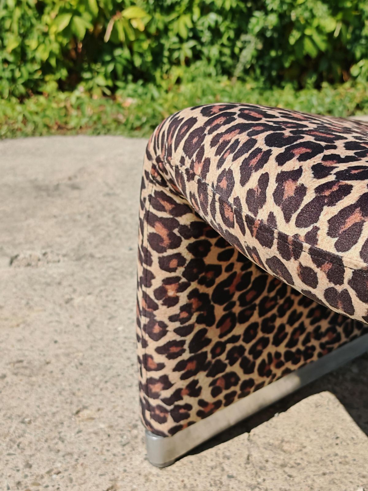 Iconic Alky Chair Designed By Giancarlo Piretti For Artifort In Leopard Print photo for sale
