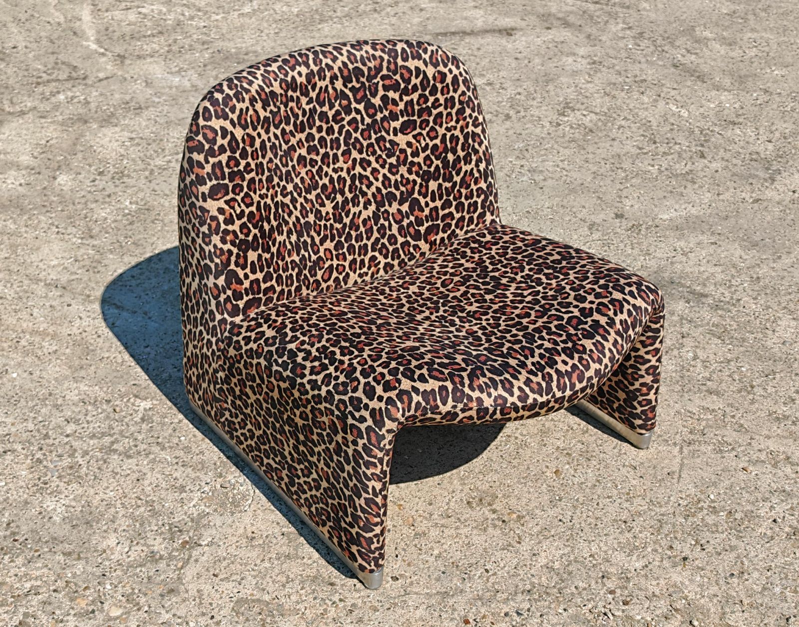Iconic Alky Chair Designed By Giancarlo Piretti For Artifort In Leopard Print photo Furniture