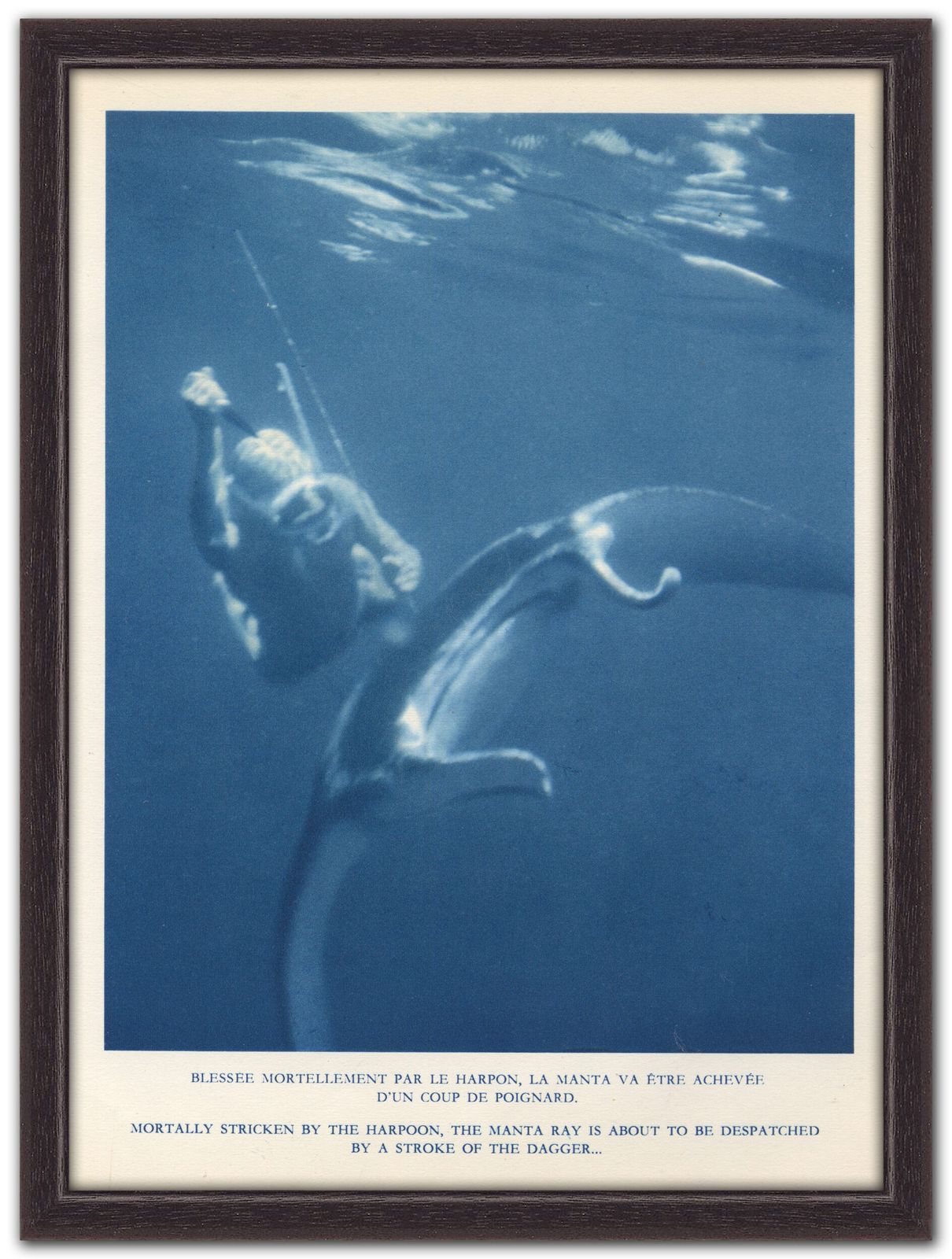 “Killing A Manta Ray”, 1955 French Heliochrome Print On Paper