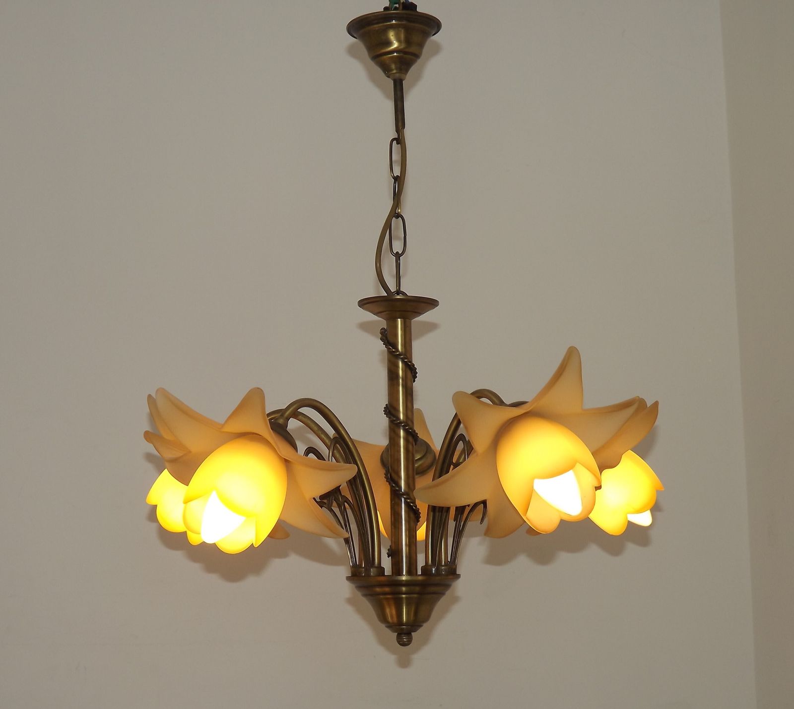 French Vintage 5 Light Bronze Effect Metal Chandelier Pretty Glass Flower Shades photo furniture