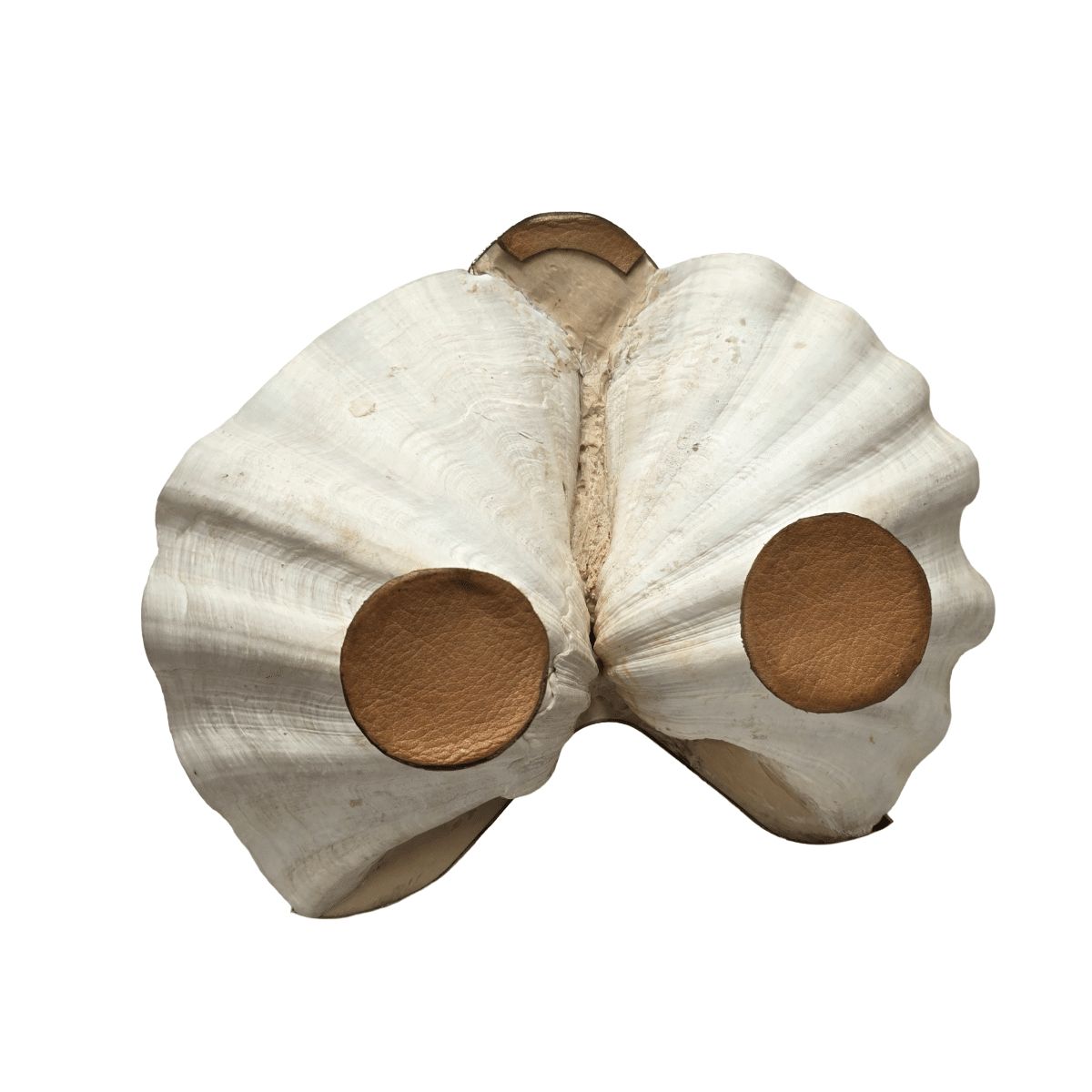 Vintage Maison Binazzi Swan With Shells, 1970s photo vinterior