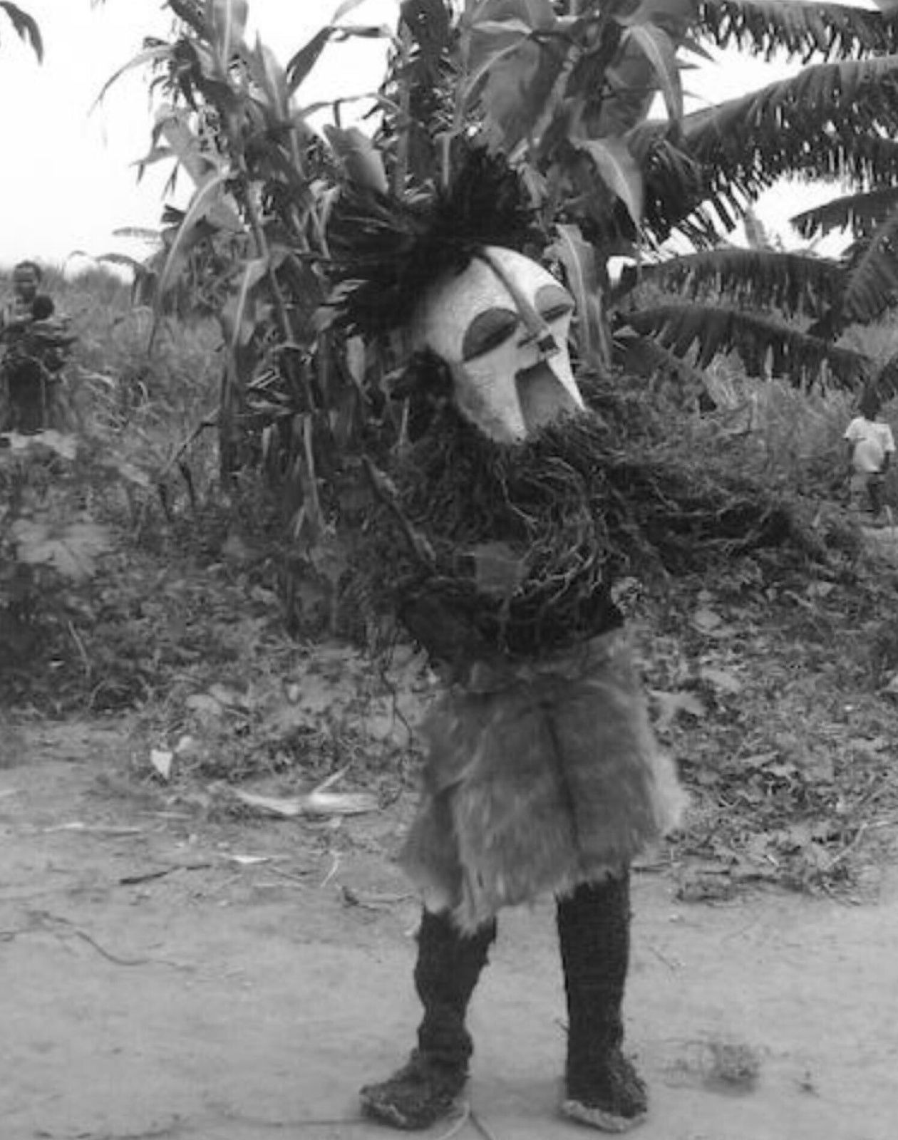 photo vinterior Female Songye Kifwebe Hand Carved Ceremonial Mask