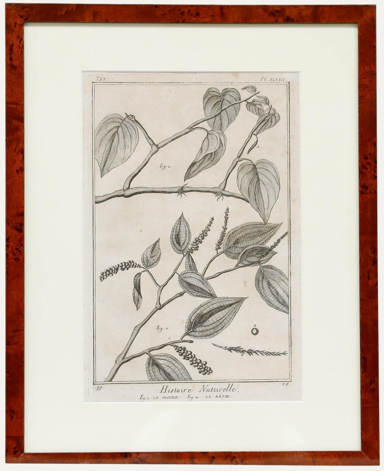 Robert Béenard (1734 1794) 18th Century Engraving, Le Pivre & Le Betel