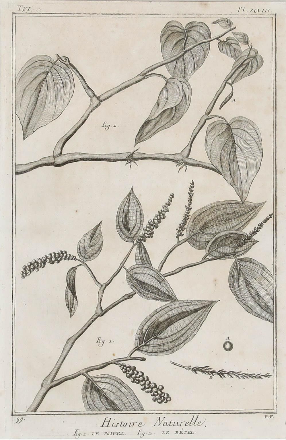 Robert Béenard (1734 1794) 18th Century Engraving, Le Pivre & Le Betel photo furniture