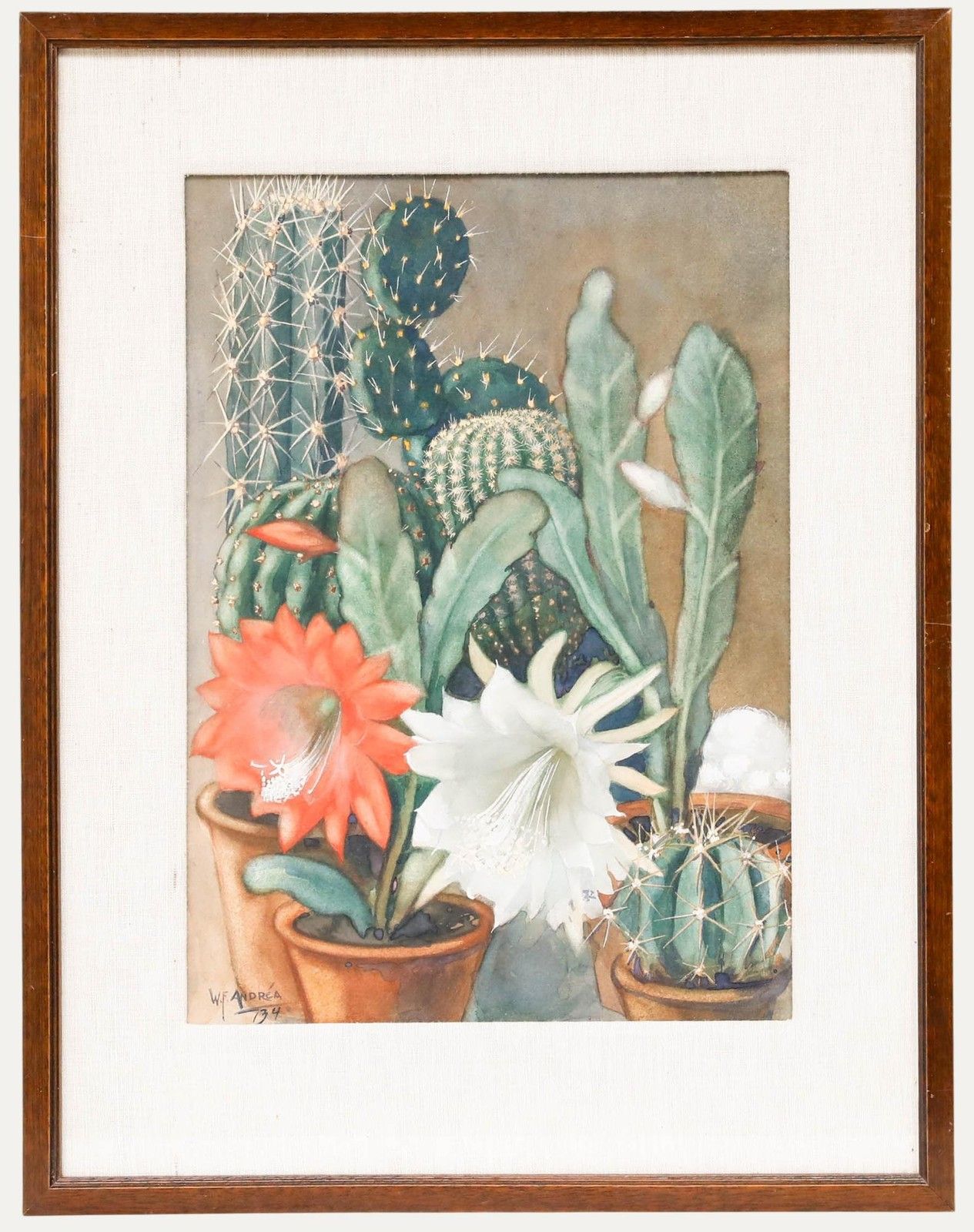 Willem Frederik Andrea (1875 1952) Framed Watercolour, Still Life With Cacti