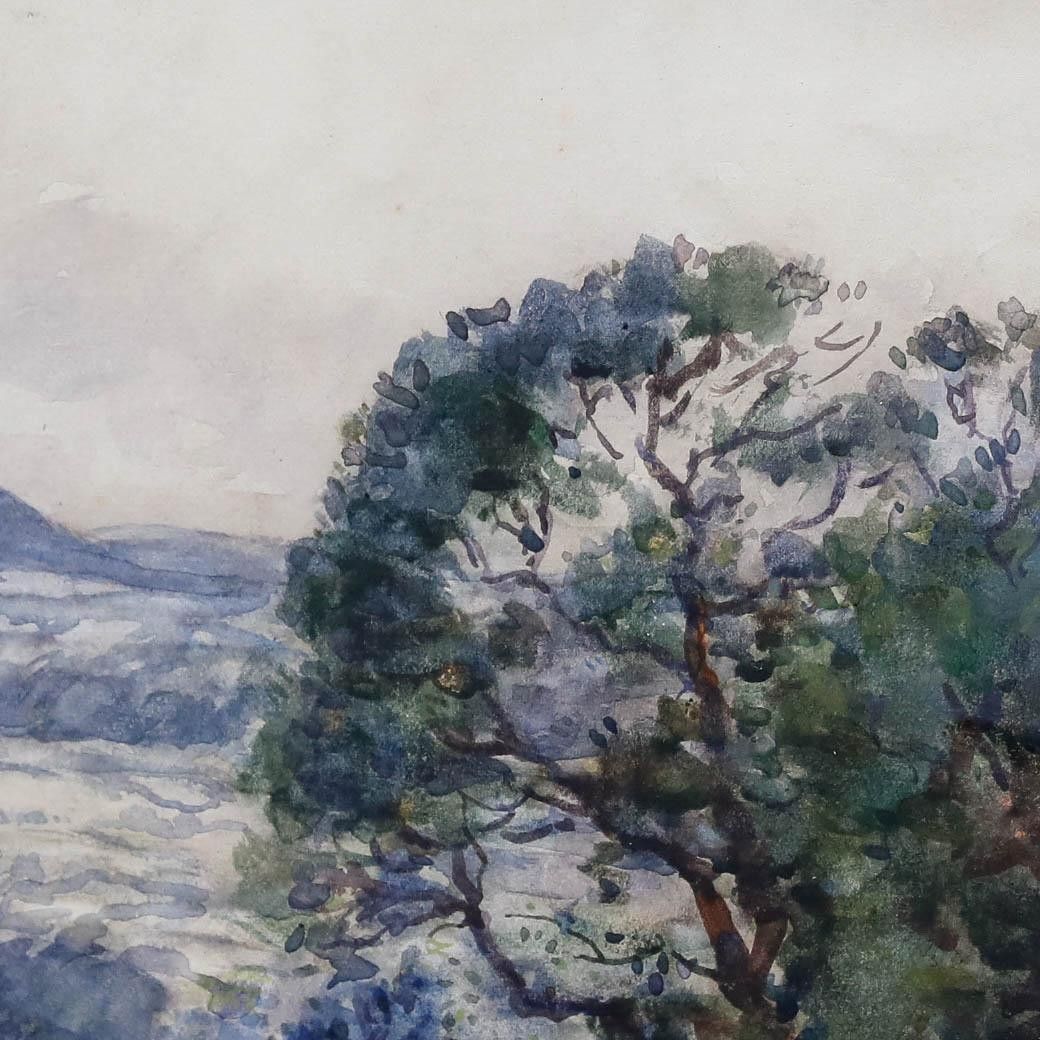 George Graham (1881 1949) Framed 1914 Watercolour, Grazing Cattle photo Art