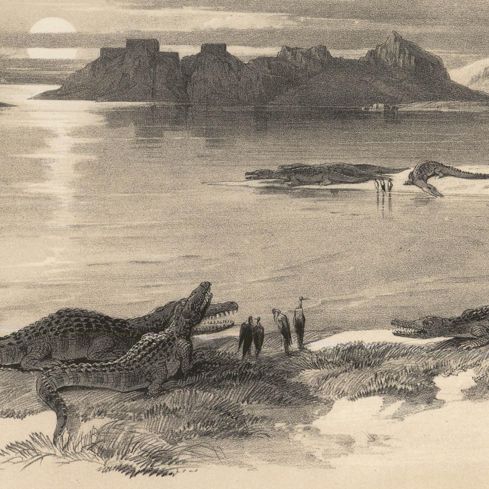 Louis Haghe After David Roberts 19th Century Lithograph, View Of The Nile photo Art