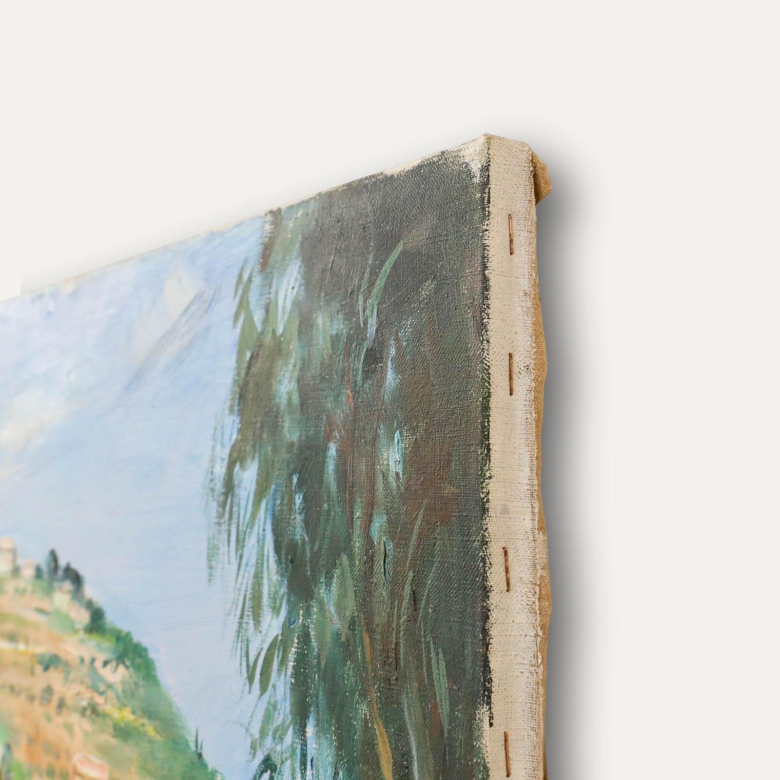 Andre Hofer (1890 1973) 1960 Oil, Agave Landscape photo 275.0