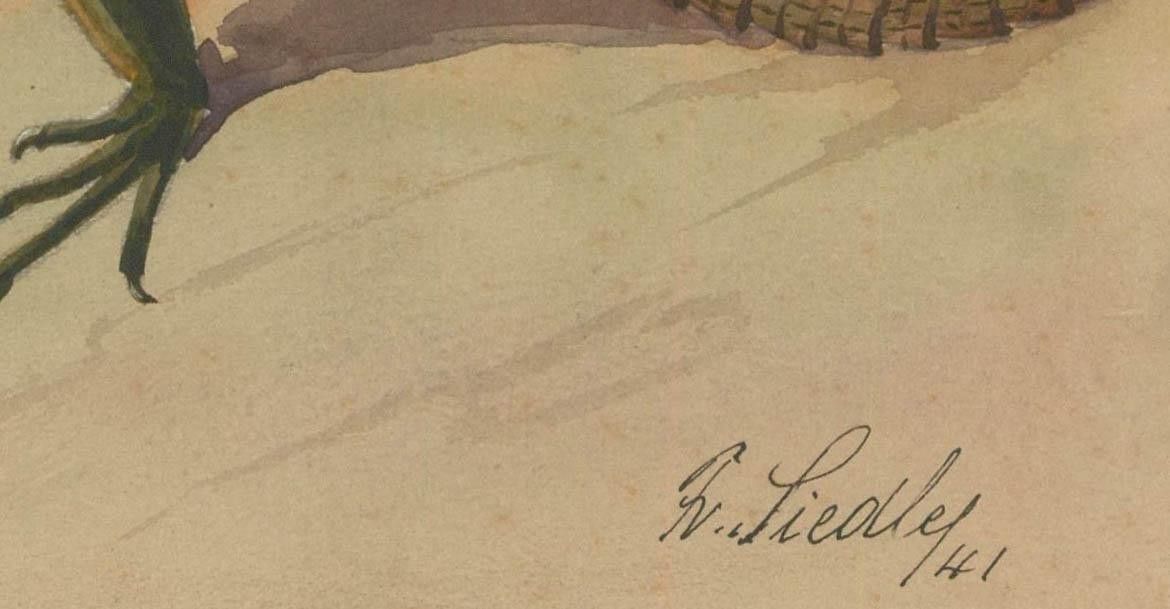 Fr. Siedler Mid 20th Century Watercolour, Agamid Lizard photo Art