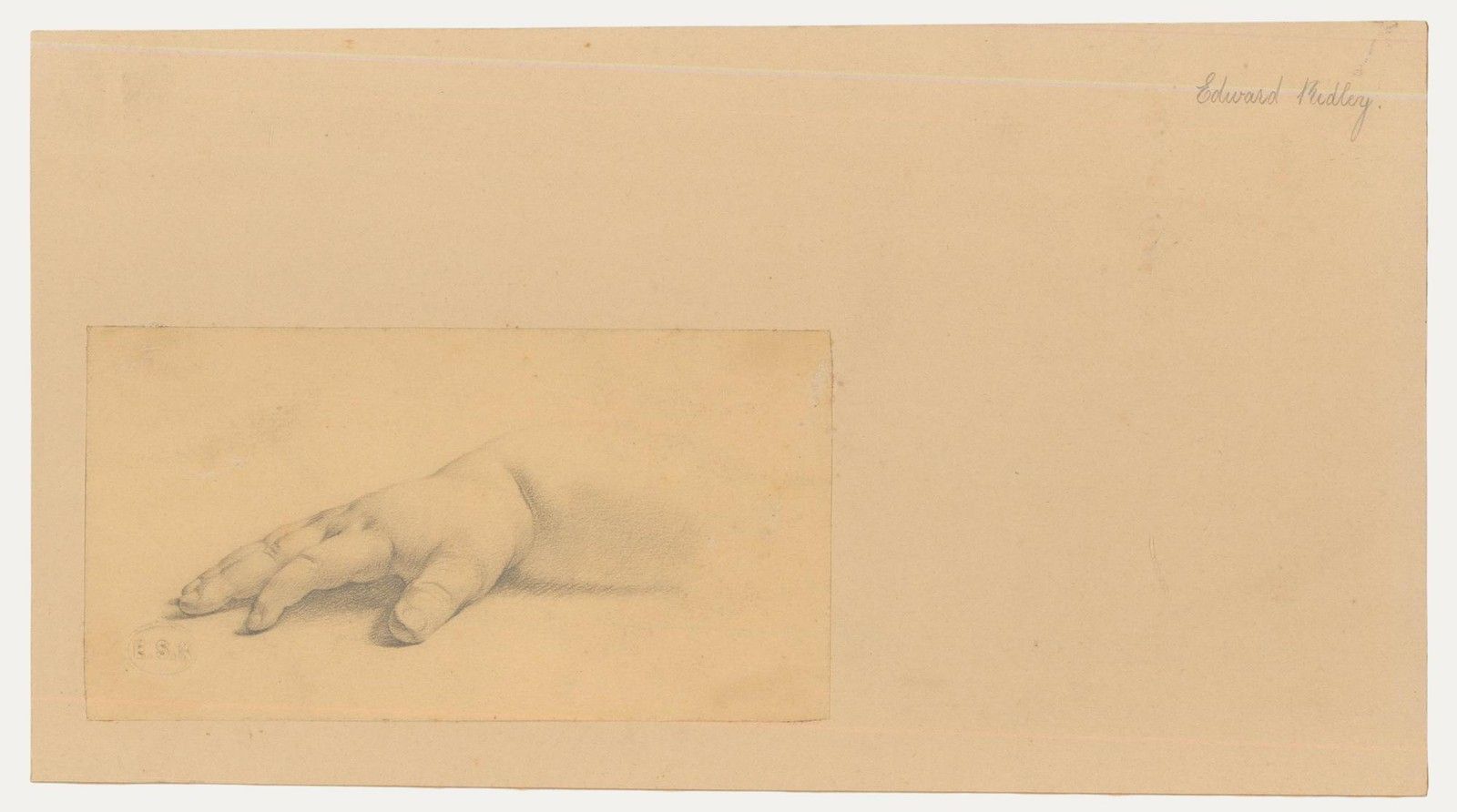 Edward Ridley (1883 1946) Graphite Drawing, Study Of An Infant's Hand Iiii