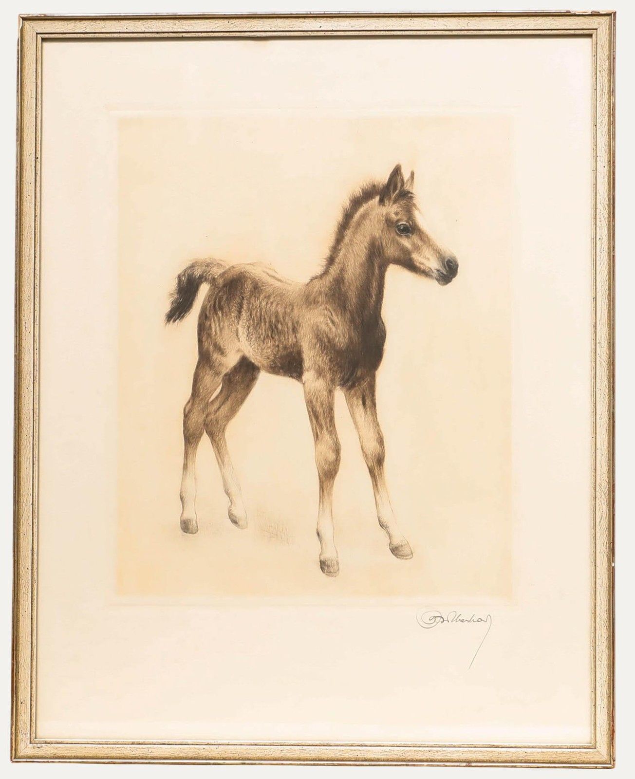 Kurt Meyer Eberhardt (1895 1977) Framed Drypoint, The Young Foal