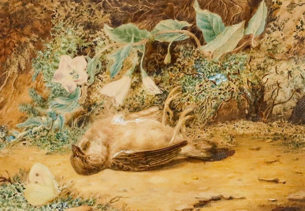 Emma Walter (1833 1893) Late 19th Century Watercolour, The Dead Sparrow photo furniture