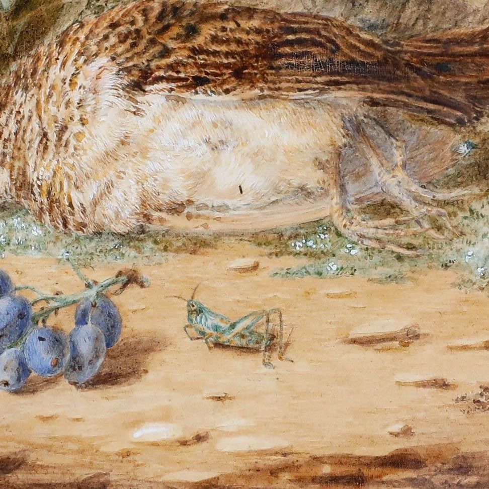Emma Walter (1833 1893) Late 19th Century Watercolour, The Songbird's Coda photo 195.0