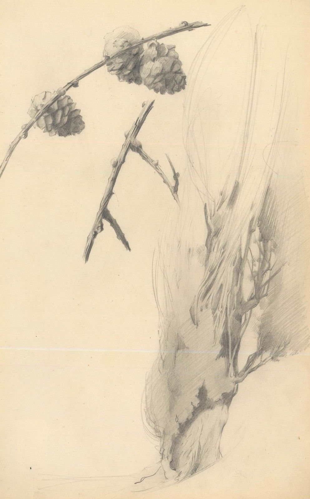 Attrib. John Cluysenaar (1899 1986) Graphite Drawing, Study Of Pinecones photo furniture