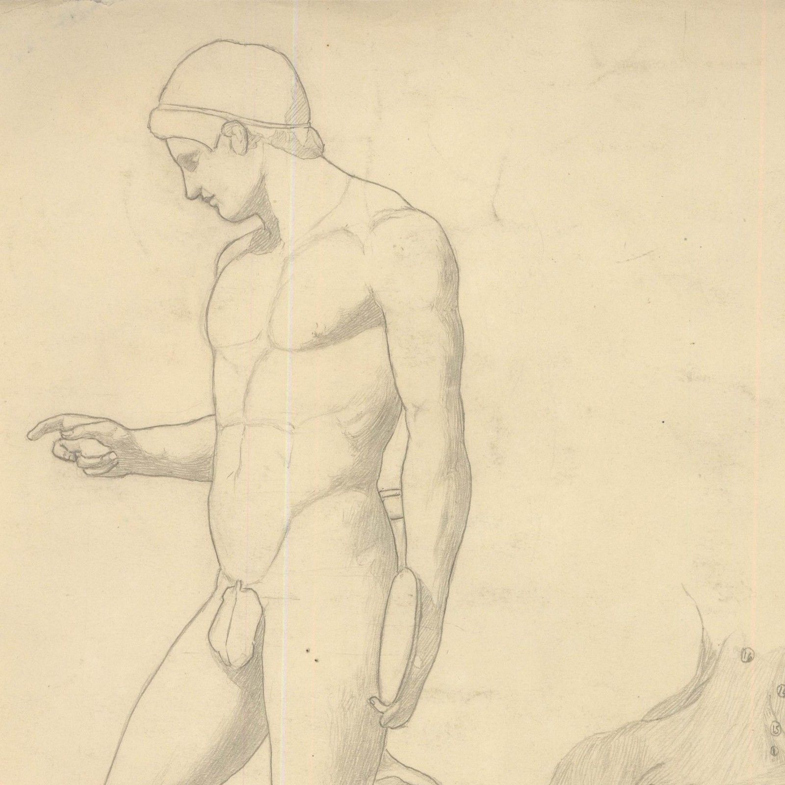William Henry Ladd Early 20th Century Graphite Drawing, Muscles Of The Torso photo Art