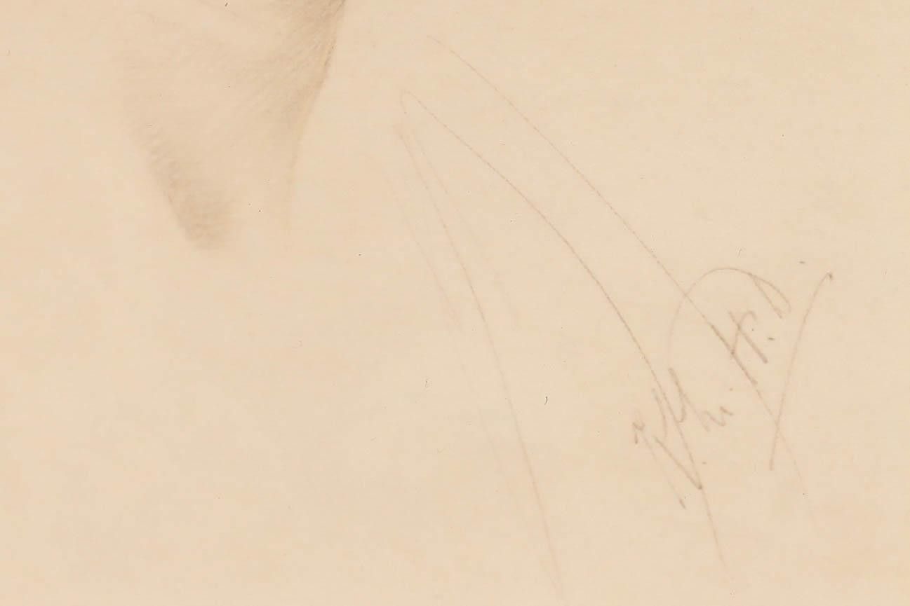 English School Early 20th Century Graphite Drawing Study Of A Man In Profile photo vinterior