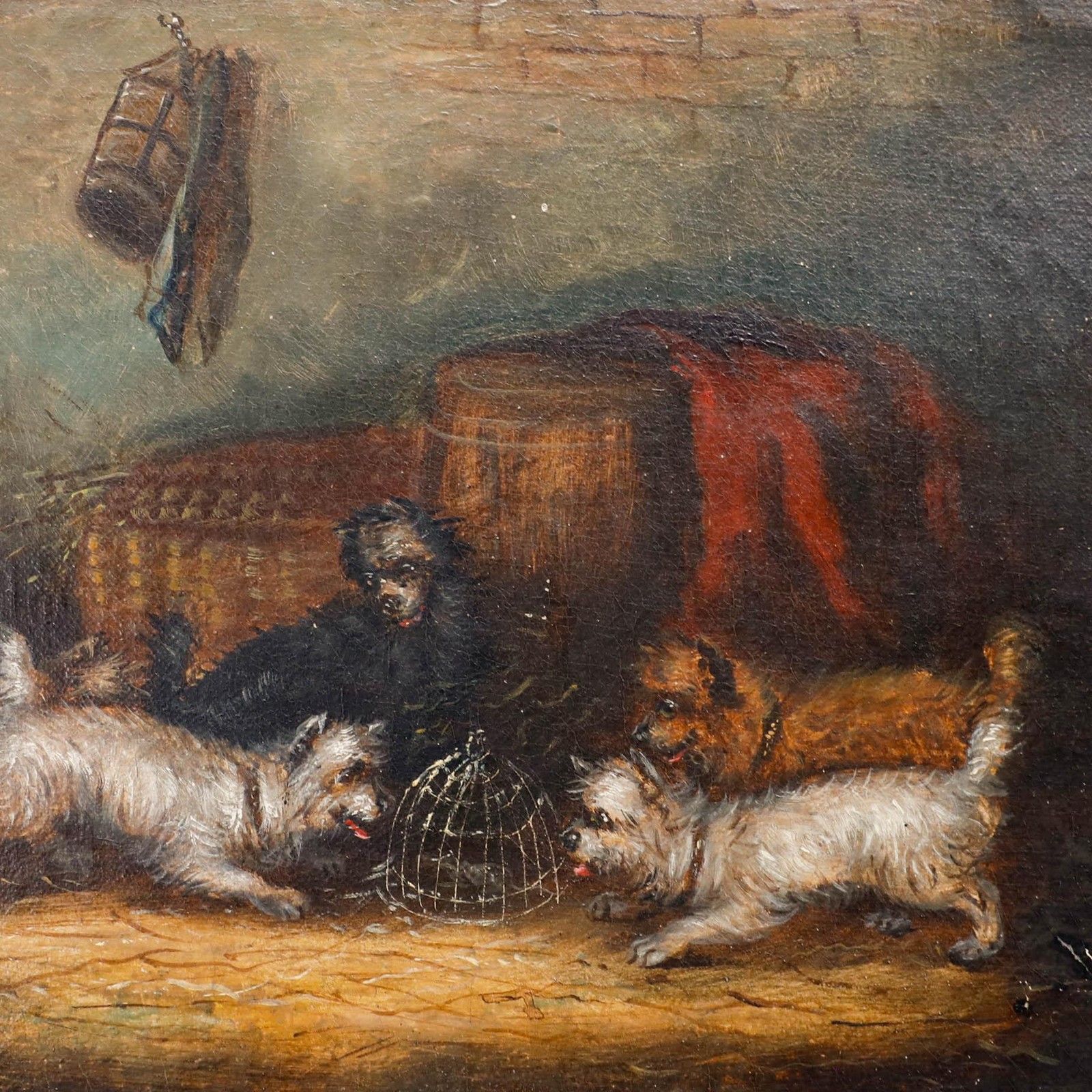 Circle Of George Armfield (1808 1893) Framed Oil, Five Terriers Ratting photo Art