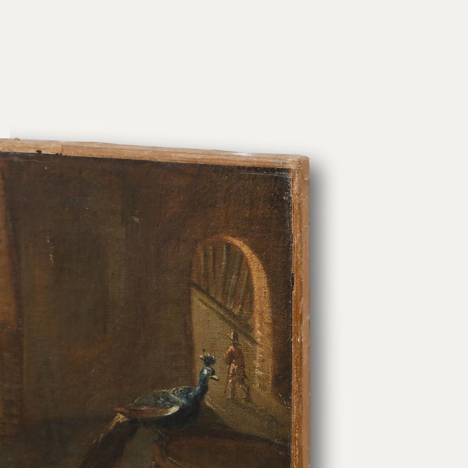 Continental School Early 19th Century Oil Birds Of Court photo vinterior