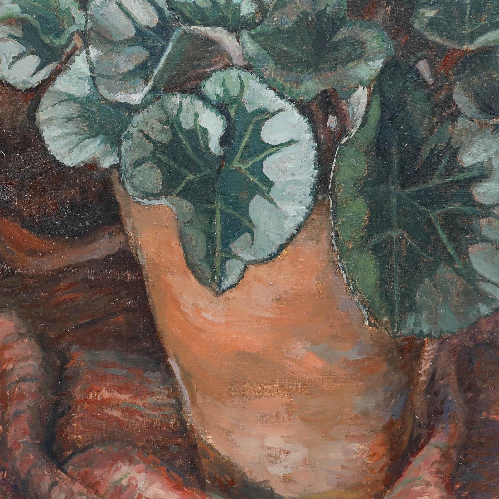Pauline Plummer (B.1933) 20th Century Oil, Pink Cyclamen photo Art