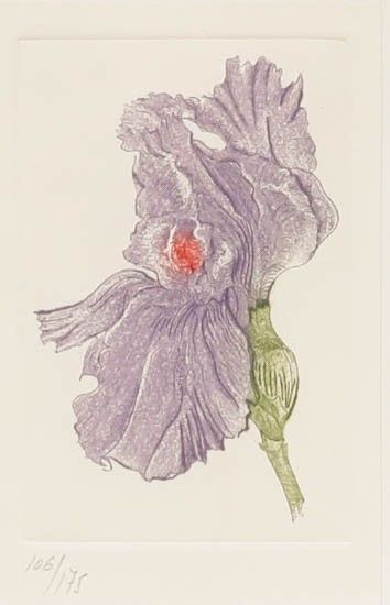 Framed Contemporary Etching Purple Iris photo furniture