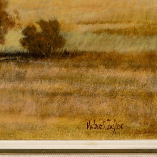 Michael Taylor Framed Contemporary Oil, Looking Out Across The Plains photo vinterior