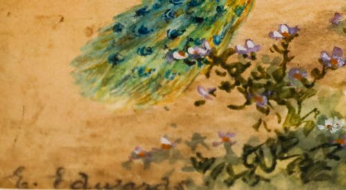 Ellen Edwards  19th Century Watercolour, Peacocks In The Walled Garden photo vinterior