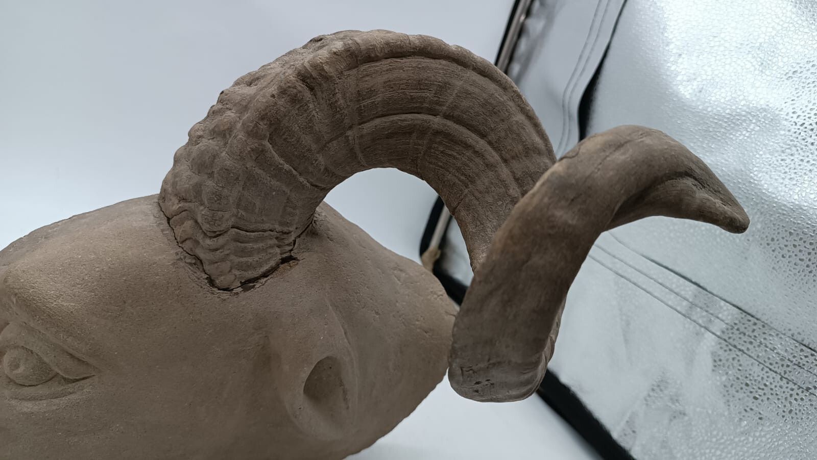 Sculpture In Stone Serena Carved Depicting Ram's Head photo 174.0