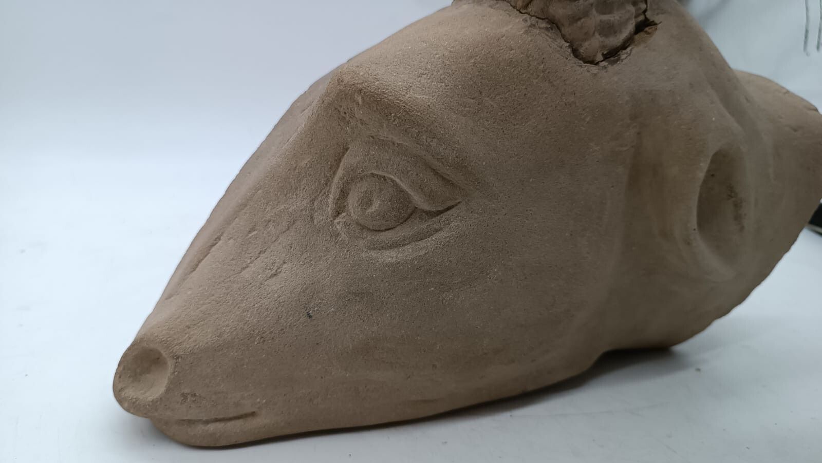 photo vinterior Sculpture In Stone Serena Carved Depicting Ram's Head
