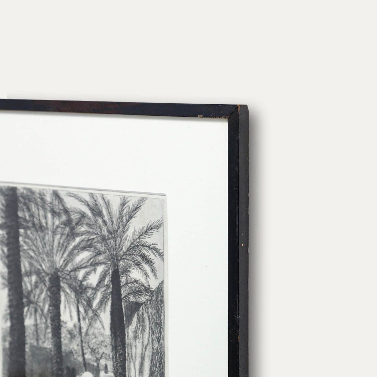 Framed Early 20th Century Etching By The Palm Trees photo vinterior