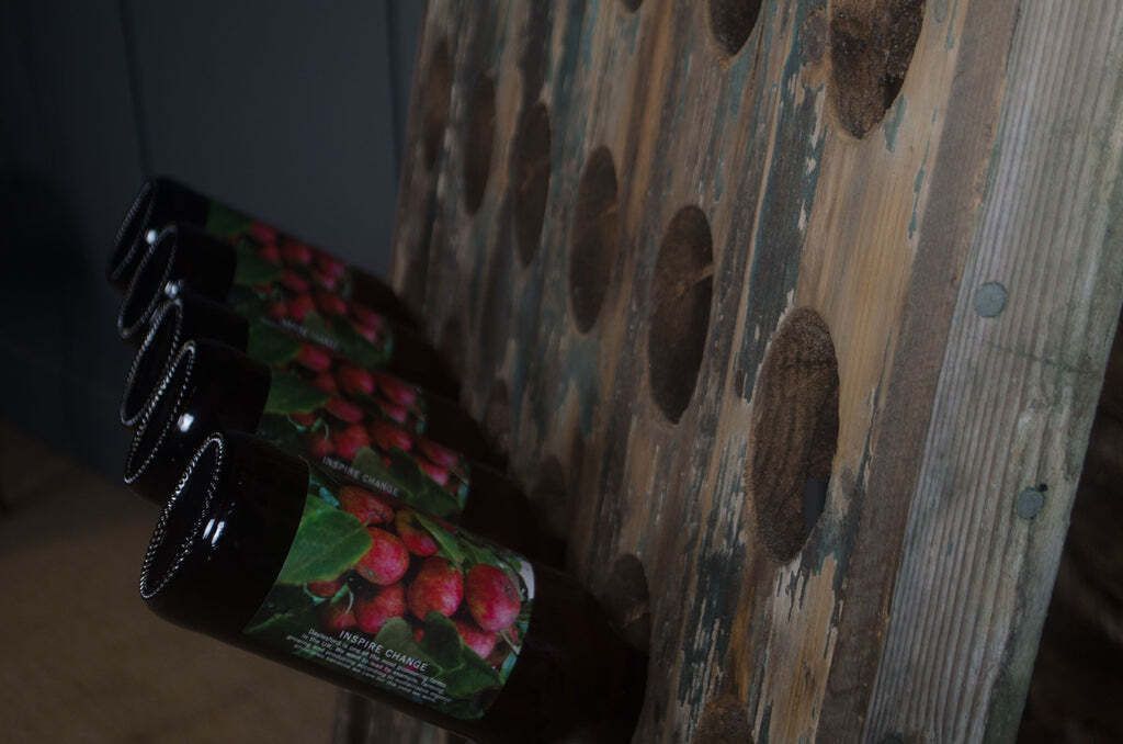 Reclaimed Wine Bottle Riddler Stands photo 420.0