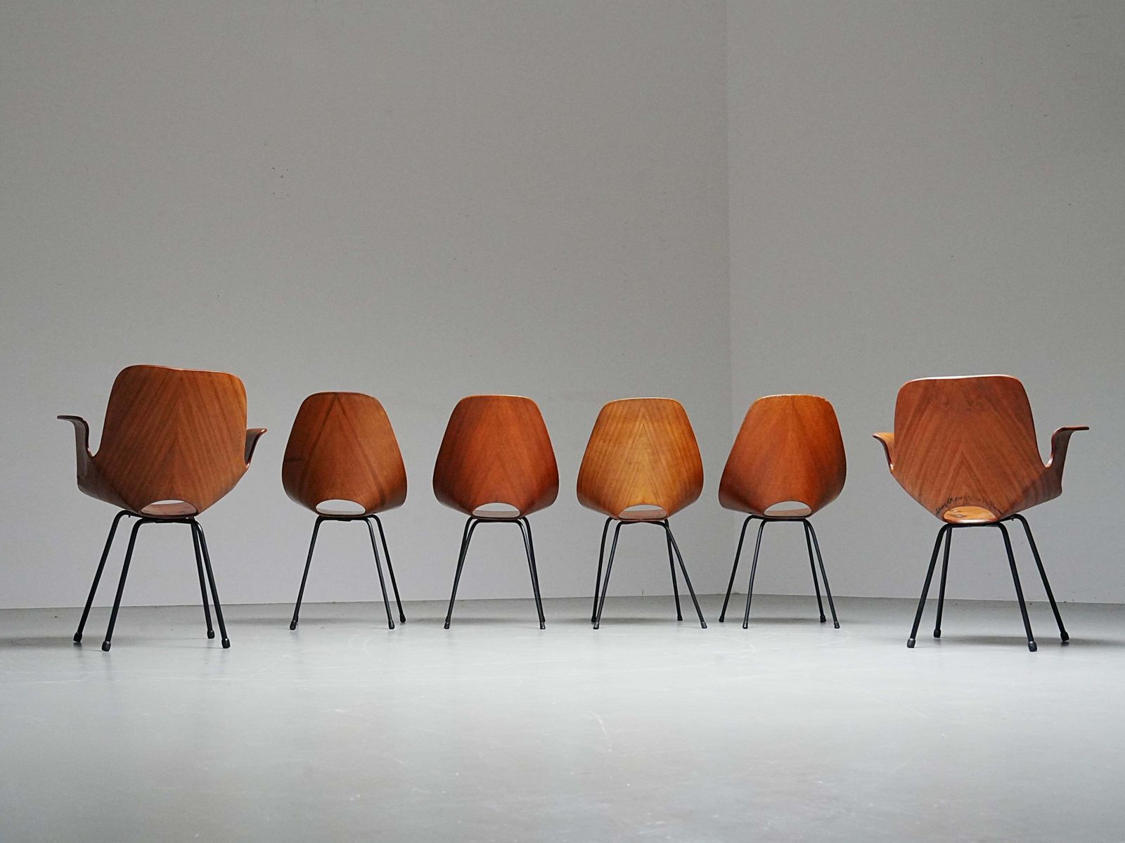 photo furniture Set Of 6 Medea Dining Chairs (2 Armchairs) By Vittorio Nobile, Italy, 1950's