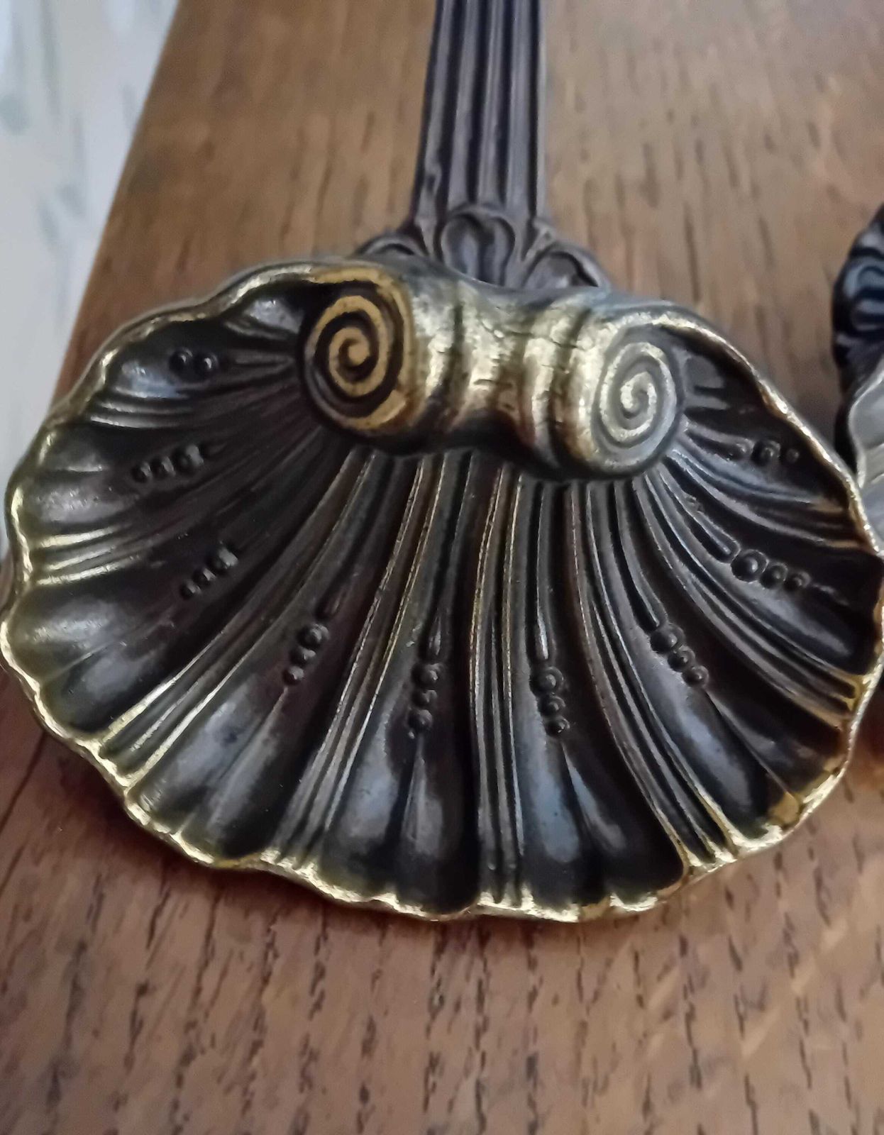 Coat Hooks A Set Of Two Shell Shaped Bronze Wall Hooks For Coats And Scarfs photo 76.0