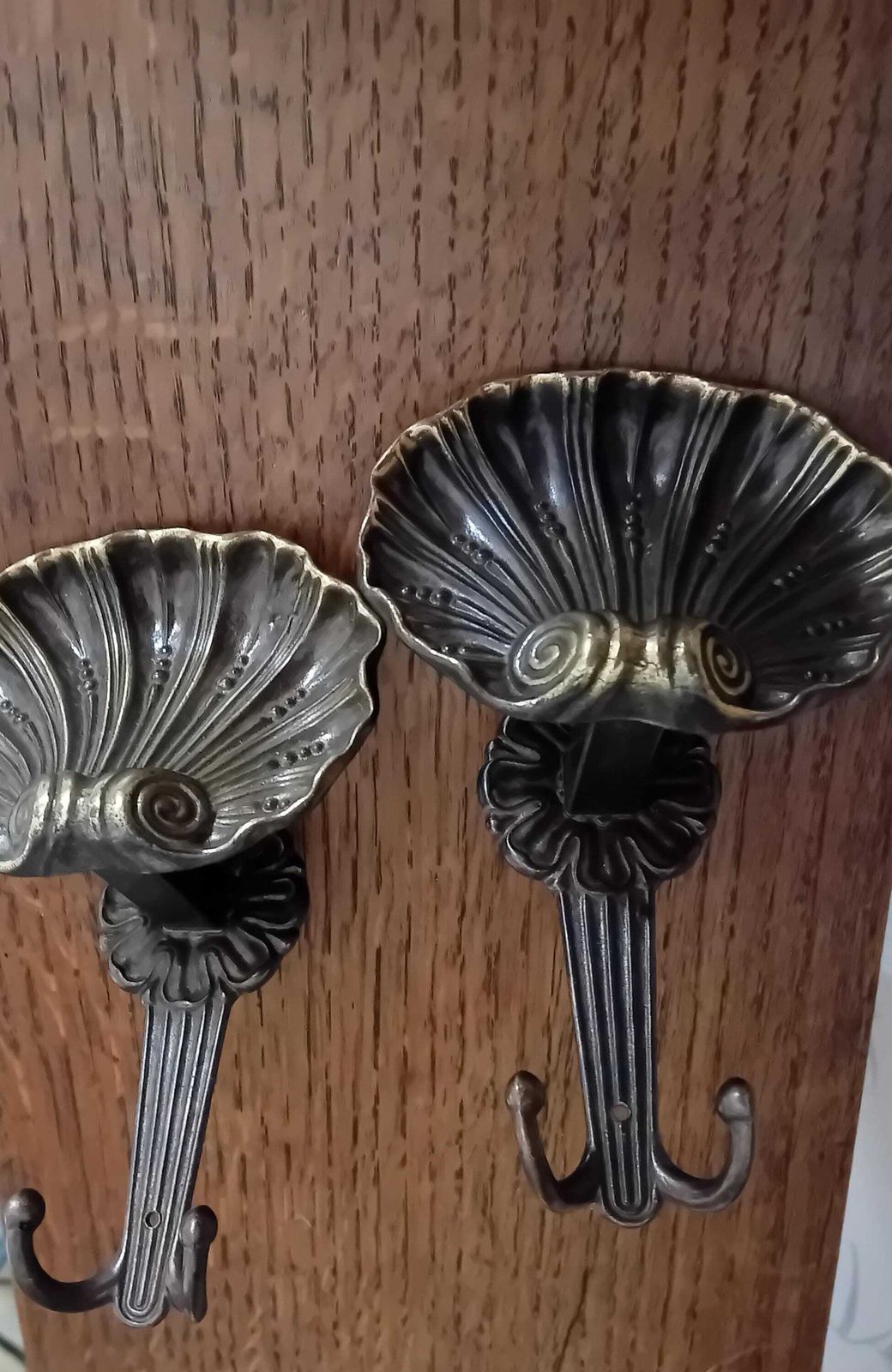 Coat Hooks A Set Of Two Shell Shaped Bronze Wall Hooks For Coats And Scarfs photo vinterior