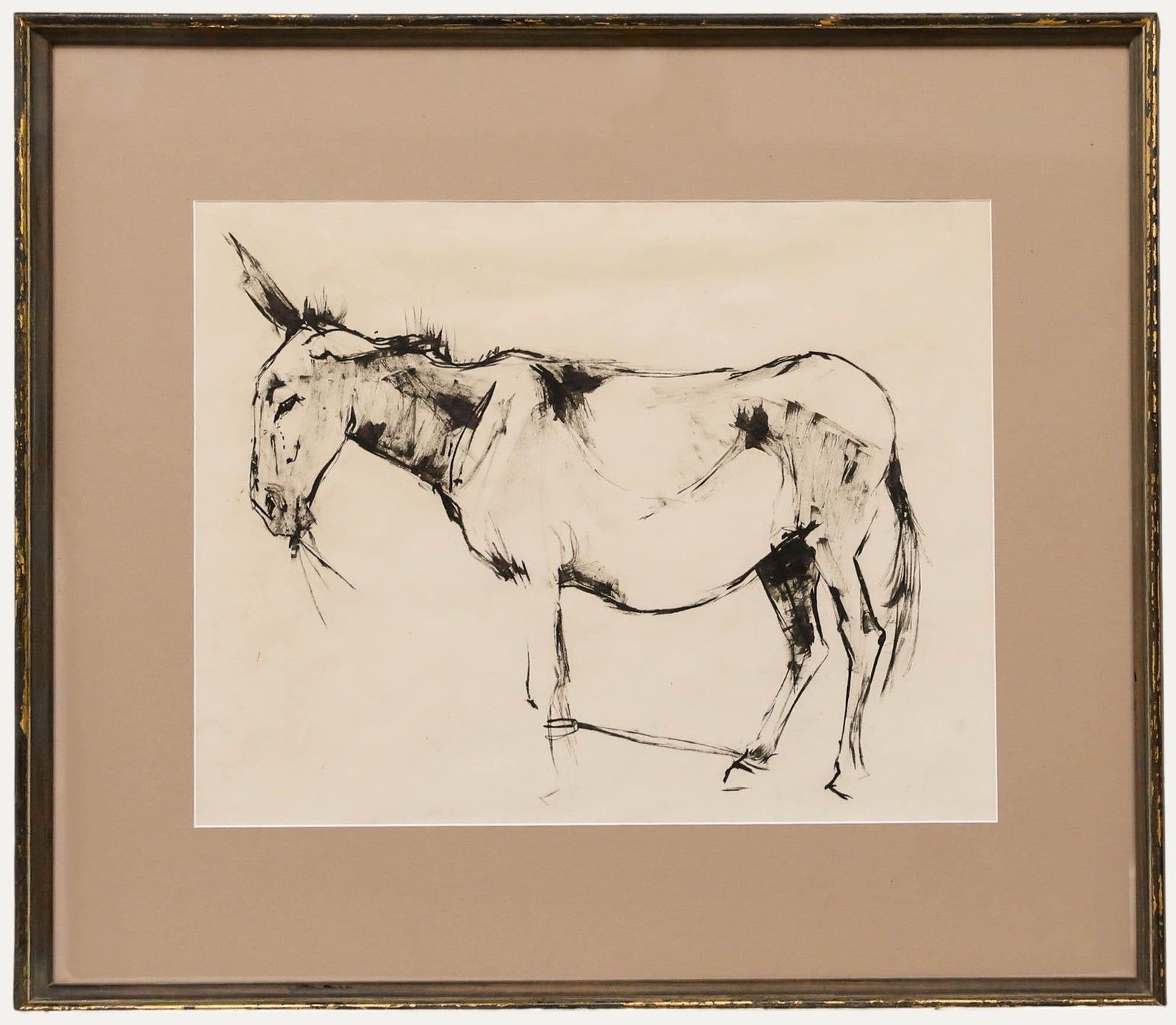 Angela Douglas Conner (B.1935) Mid 20th Century Pen And Ink Drawing, Donkey