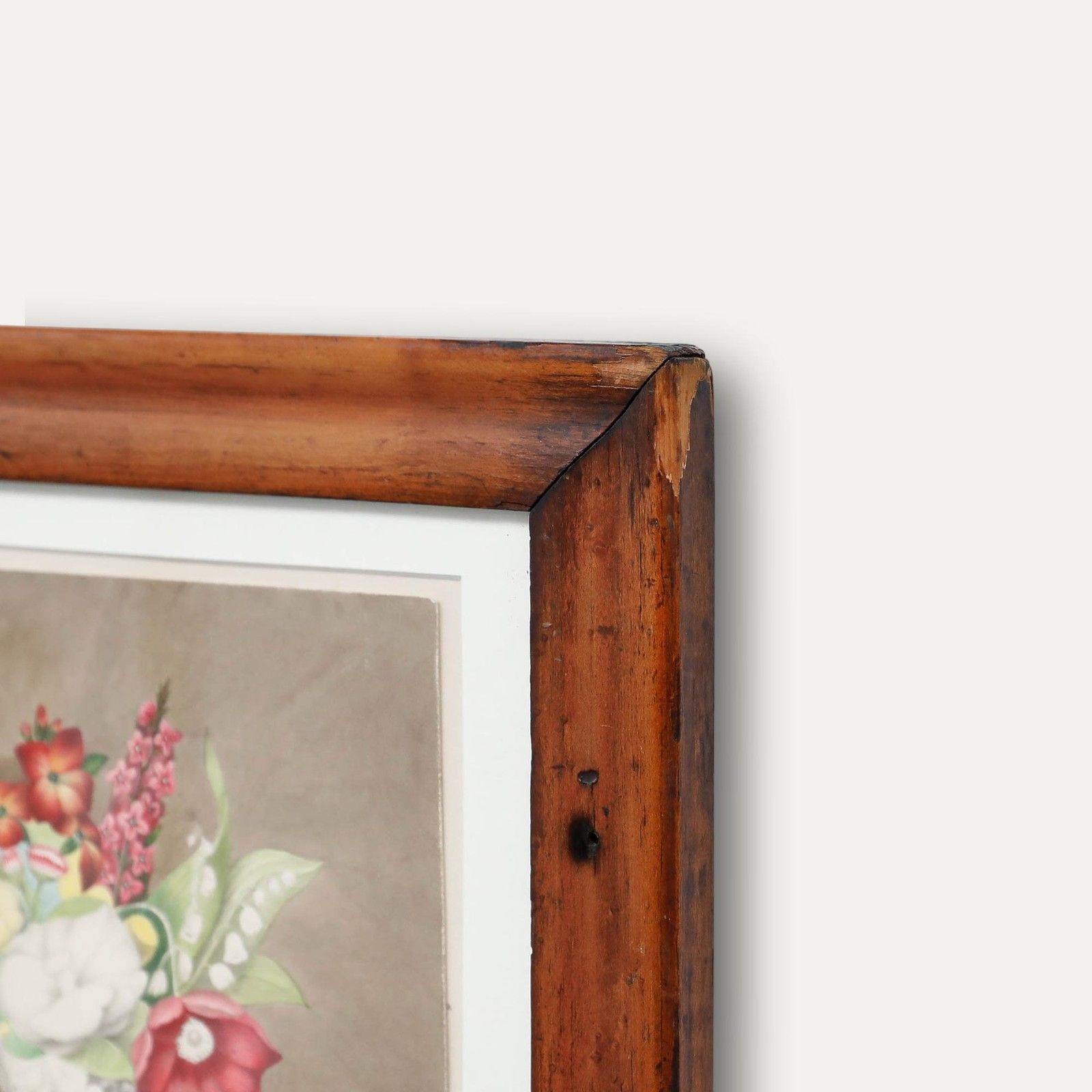 Sophia Katherine Charleton (1789 1844) Watercolour, A Spring Bloom photo 325.0