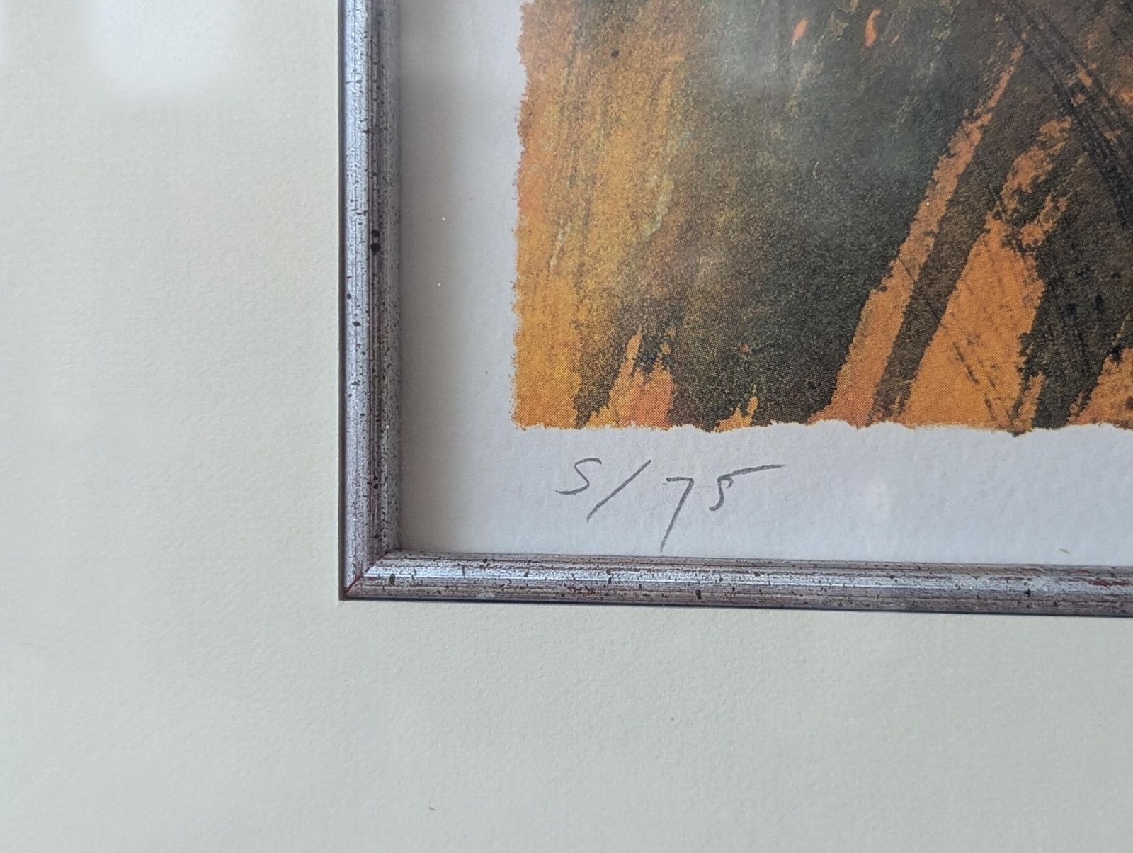 Late 20th Century Signed Ltd Edition Framed Lithograph Screenprint. photo Art