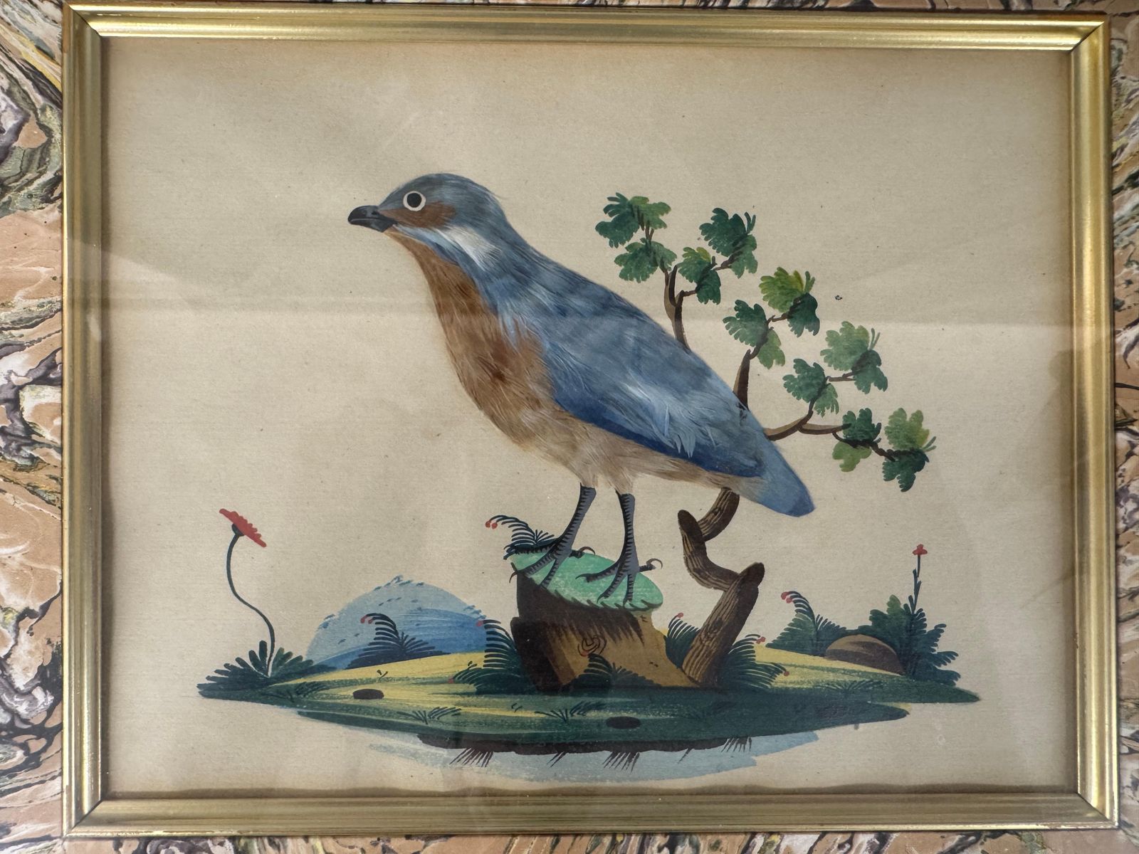 Set Of 7 Antique Watercolour & Feather Bird Pictures photo 3566.0