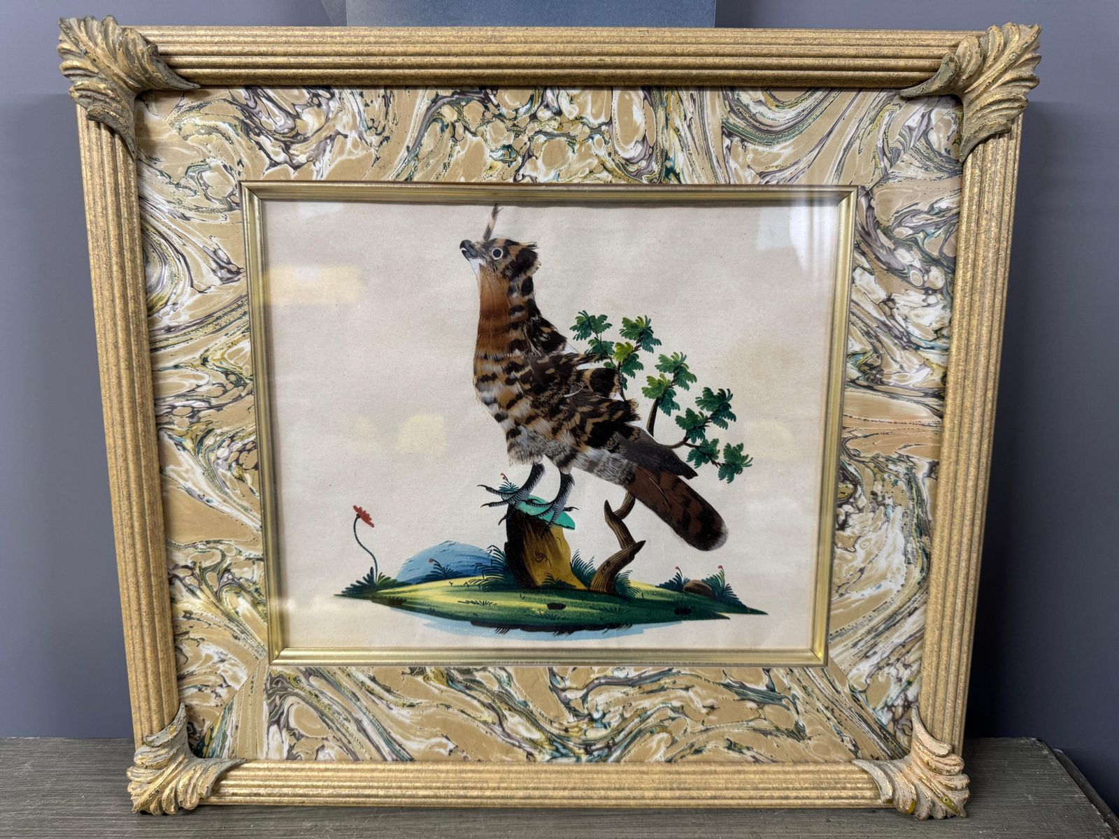 Set Of 7 Antique Watercolour & Feather Bird Pictures photo vinterior