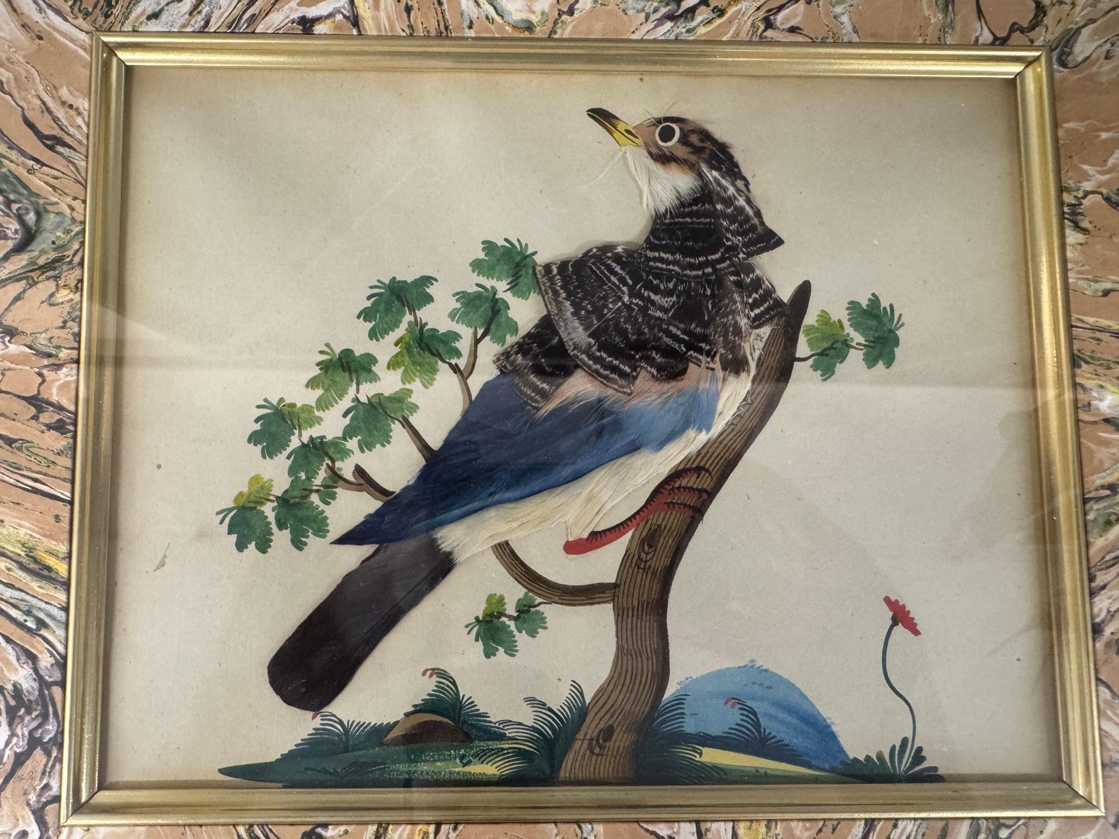 photo furniture Set Of 7 Antique Watercolour & Feather Bird Pictures